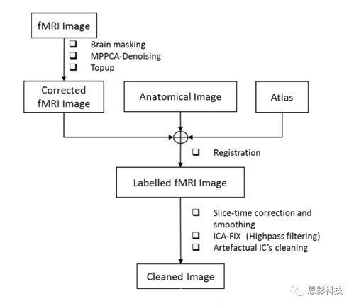 思影科技啮齿类动物神经影像数据处理业务流程图6个图例详解